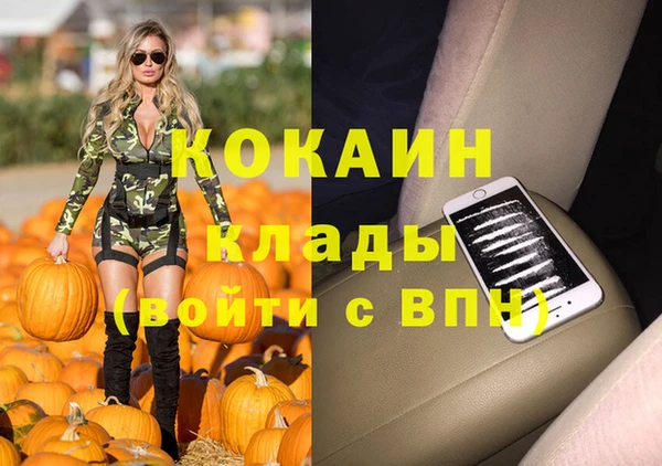 мдпв Горняк
