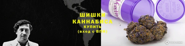 мдпв Горняк