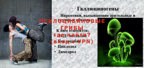мдпв Горняк