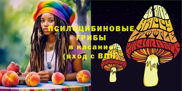 гидропоника Горно-Алтайск