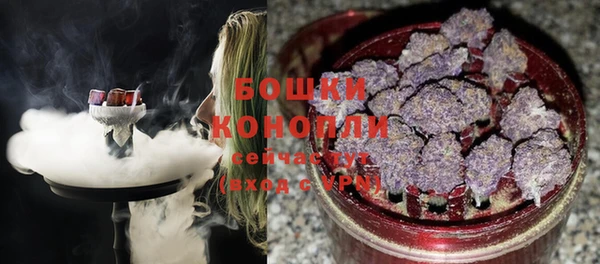 мдпв Горняк