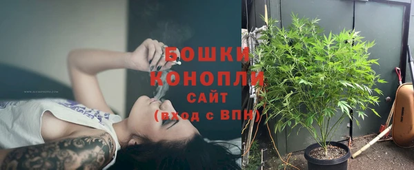 мдпв Горняк