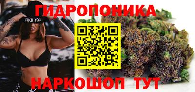 МДПВ Братск
