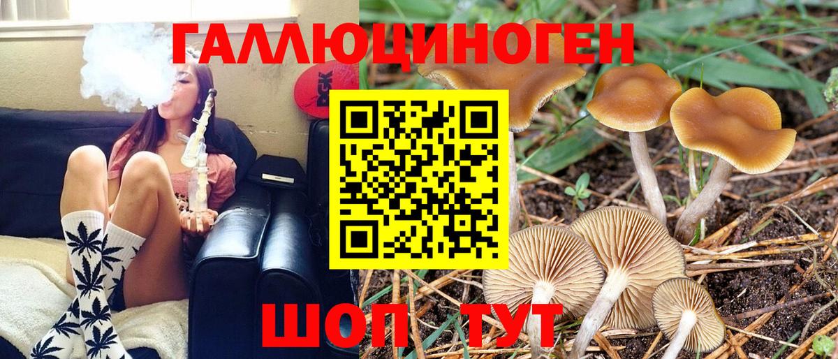Галлюциногенные грибы прущие грибы Вологда